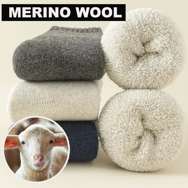 Warm & Toasty Merino Wool Socks (3 pairs)